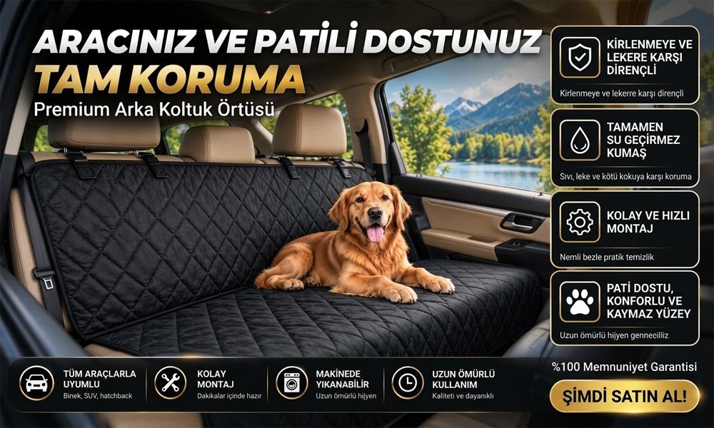 Evcil Hayvan Arka Koltuk Kılıf
